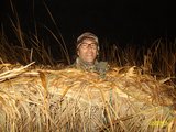 antonino