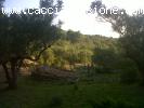 Riserva di caccia in Croazia