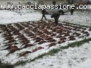 Caccia in Ungheria