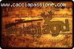 Caccia in Ungheria!