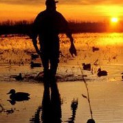 Caccia agli anatidi nelle Valli di Comacchio