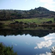 A caccia di pernice e lepre sarda in gallura