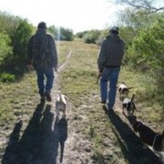 Cacciatori - Cani - Territorio