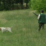 Cacciatore con cane