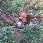 Rifiuti nel bosco - Ambiente - territorio