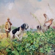 Mostra Scambio Grumello del Monte Mostra Scambio Grumello del Monte