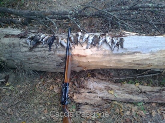 25f3ac84cc9c40f50a53a2b6f0613f3f.jpg