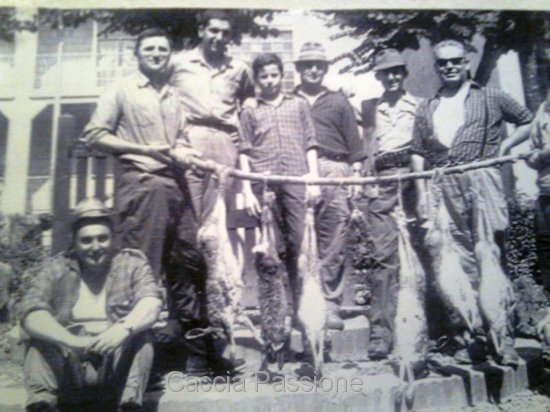cb97c4e02caf421111280e836f63c665.jpg