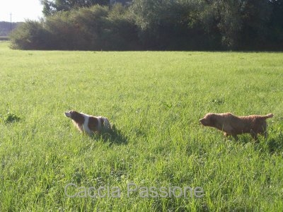 ed1b39a0024ad01a6c188af579653257.jpg