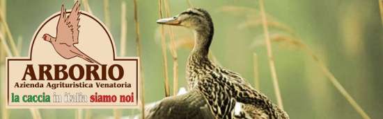 L’azienda Arborio è situata in provincia di Vercelli ed offre la possibilità di cacciare molte specie di selvaggina, quest’ultima suddivisa in stanziale e fuori quota.