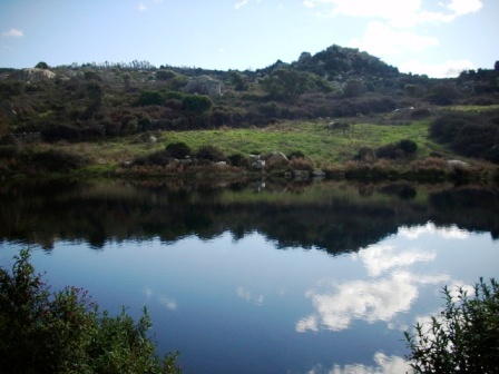 A caccia di pernice e lepre sarda in gallura