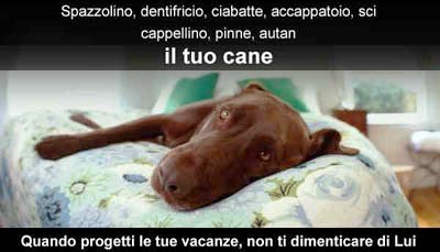 DOMENICA 2 GIUGNO, SALUTIAMOCI IN QUESTA SEZIONE Abbandono-cane