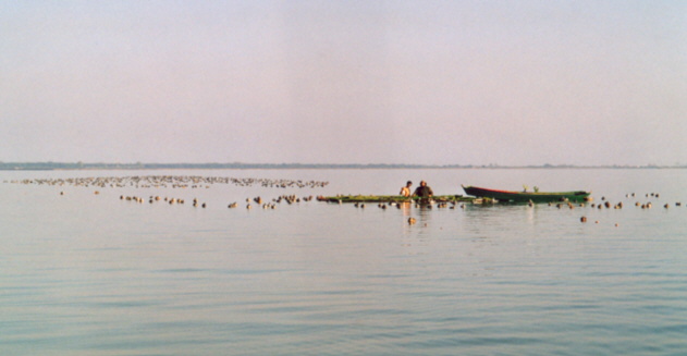 Caccia nelle Valli del Comacchio Caccia nelle Valli del Comacchio
