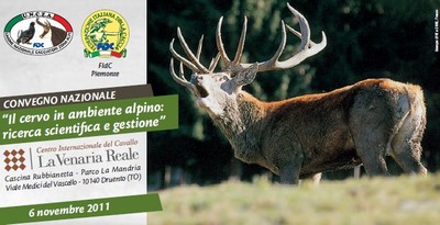 Convegno Cervo Torino