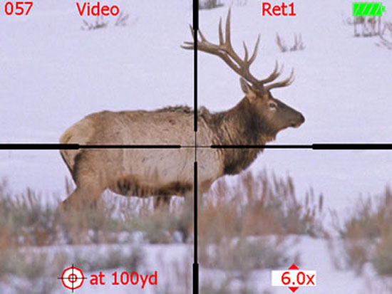 Digital Hunter Riflescope: Visione dell'ottica