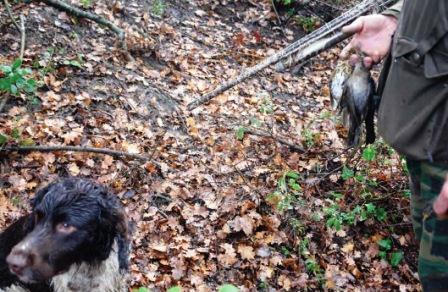 Tordi: i mesi invermali sono il periodo migliore per cacciare i tordi