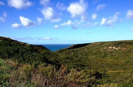 Paesaggio Sardo - Tipico habitat ove cacciare la pernice sarda