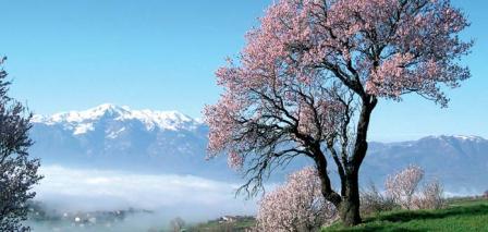 viaggi di caccia in Molise