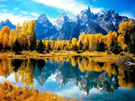 Viaggi di Cacca: Gli USA e la caccia alle anatre..
