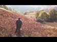 Caccia a starne in Macedonia con setter inglese ..11.mpg