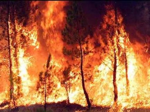 Pericolo incendi nel Parco del Monte Subasio: arrivano le 