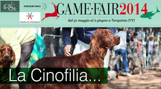 Game Fair 2014 - Cinofilia - Tarquinia (VT)