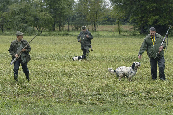 Cacciatori con Cani