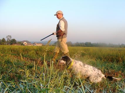 Cacciatore e cane in ferma