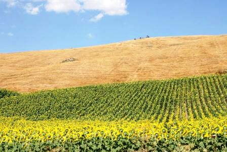 Viaggi di caccia: il Molise, terra da scoprire