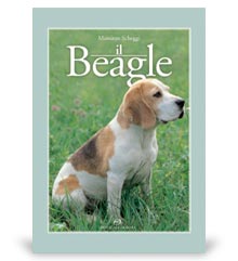 Libri sui cani da caccia: il Beagle, gruppo editoriale Olimpia