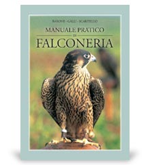libri di caccia: manuale pratico di falconeria, editore olimpia