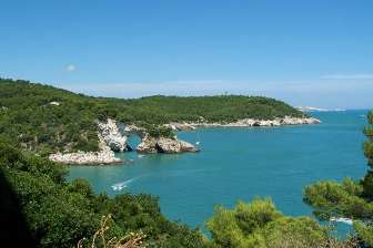 viaggio di caccia nel gargano, selvaggina e hotel