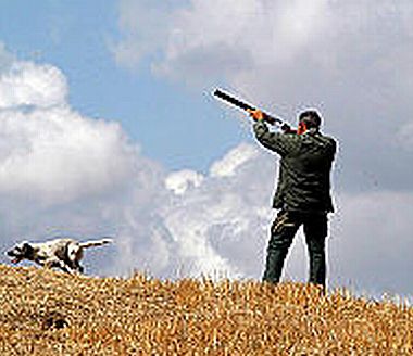 Lecco: Calendario Venatorio 2010/2011 e Tesserino Regionale a disposizione dei cacciatori dal 2 agosto