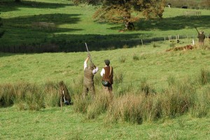 Caccia in Calabria Caccia in Calabria