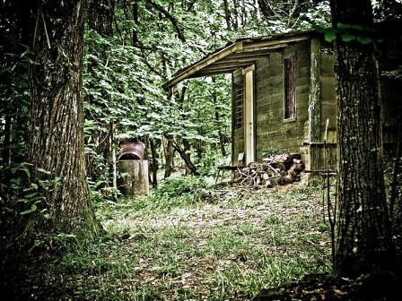 Capanno da Caccia Capanno da Caccia