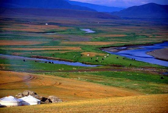 turismo venatorio in Mongolia
