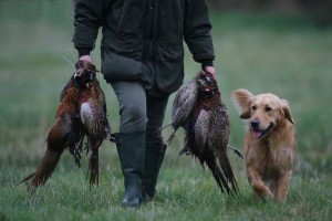 Piano faunistico venatorio Piano faunistico venatorio