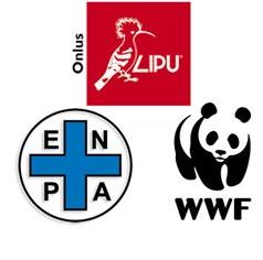 CACCIA: ENPA-LAV-LIPU-WWF, NASCE L'OSSERVATORIO NAZIONALE FAUNA