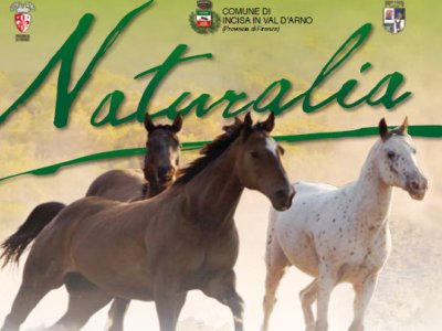 NATURALIA 2011: Terza edizione di Naturalia, Fiera della Caccia e Pesca, Natura e Tempo Libero dal 13 al 15 maggio 2011 a Incisa Val D'Arno (FI).