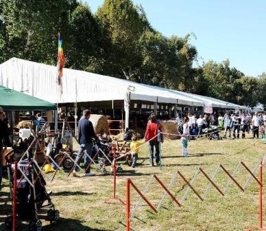 L'Expo Rurale 2011 si svolgerà al Parco Le Cascine di Firenze dal 15 al 18 settembre