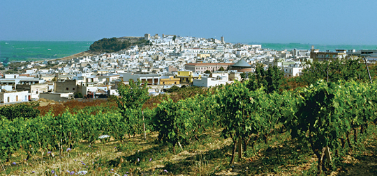 Canosa di puglia