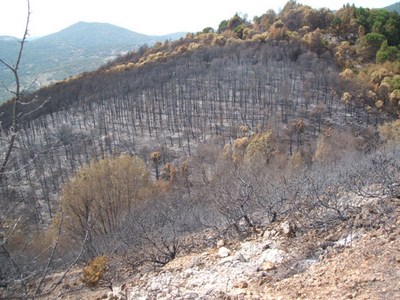 Incendio Monti Ernici
