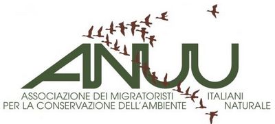 Anuu Migratoristi