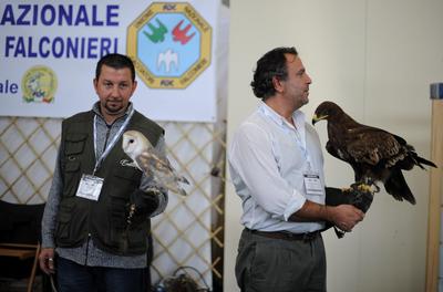 Falconeria Mondo Caccia Carrara Fiera