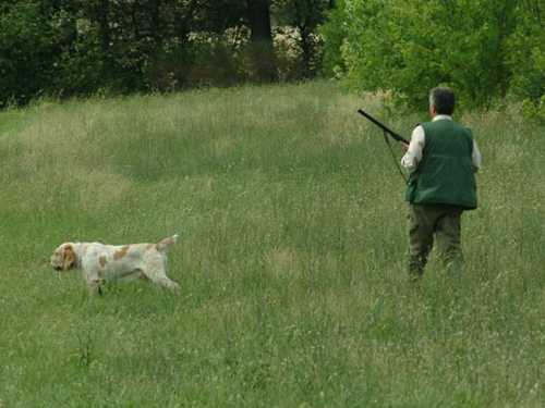 Cacciatore con cane