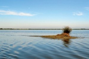 Polesine delta del Po