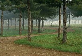 Parco del Roccolo Canegrate