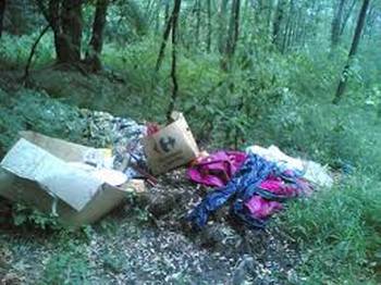 Rifiuti abbandonati sul territorio Rifiuti abbandonati sul territorio