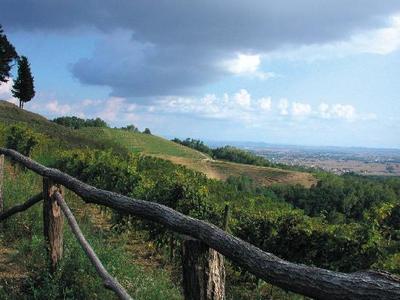 Friuli Venezia Giulia