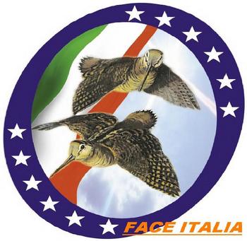 FACE Italia